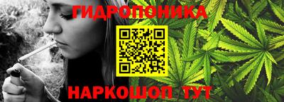 прущий лед Канаш