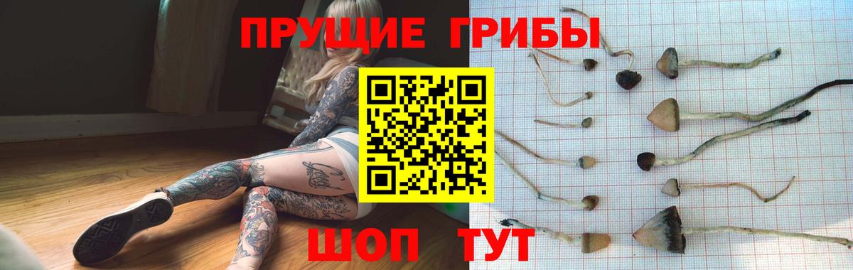 Псилоцибиновые грибы MAGIC MUSHROOMS  Псилоцибиновые грибы ЛСД  Вход с VPN  Будённовск 